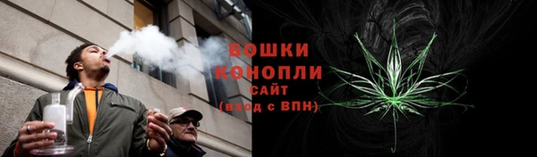 каннабис Ессентукская