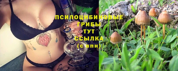 молекула духа Абинск