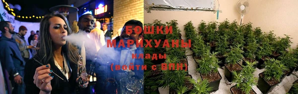 ПСИЛОЦИБИНОВЫЕ ГРИБЫ Покачи